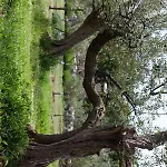 Ana Near And Rovinj Σπίτι διακοπών Bale
