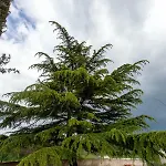 Ana Near And Rovinj Σπίτι διακοπών