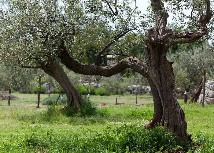 Ana Near And Rovinj Hébergement de vacances *