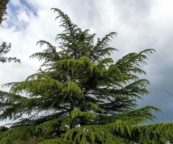Ana Near And Rovinj Hébergement de vacances