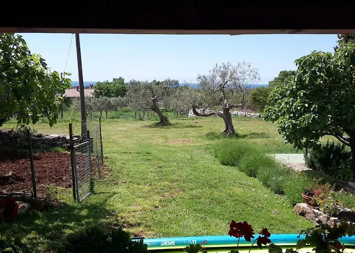 Ana Near And Rovinj *