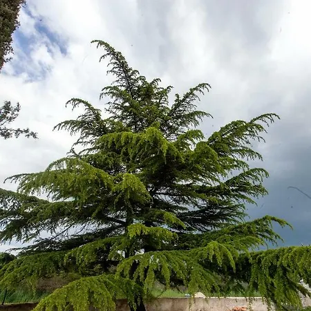 Ana Near And Rovinj Nyaraló