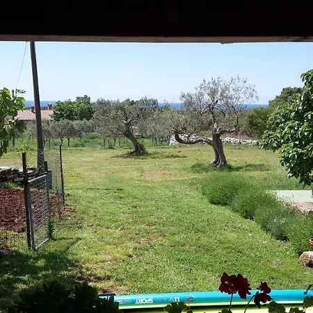 Ana Near And Rovinj *