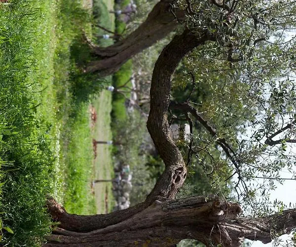 Ana Near And Rovinj Feriehus Bale